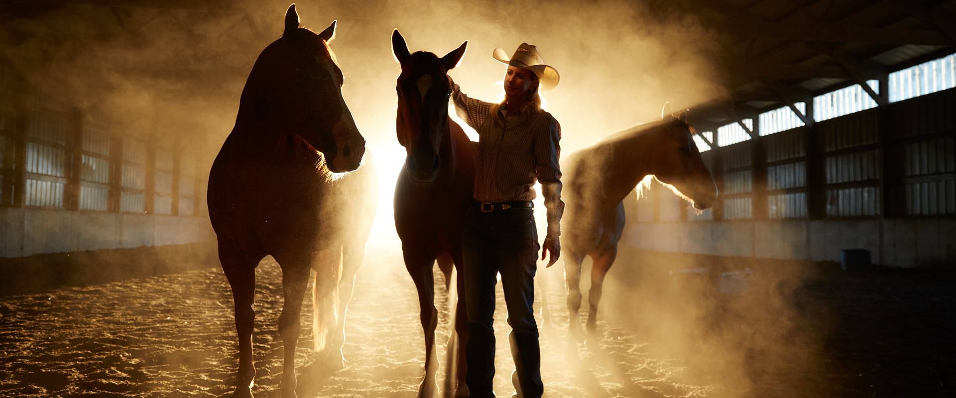 Sherry Cervi, corredora de barriles de la WPRA, en su establo con tres de sus caballos al atardecer.